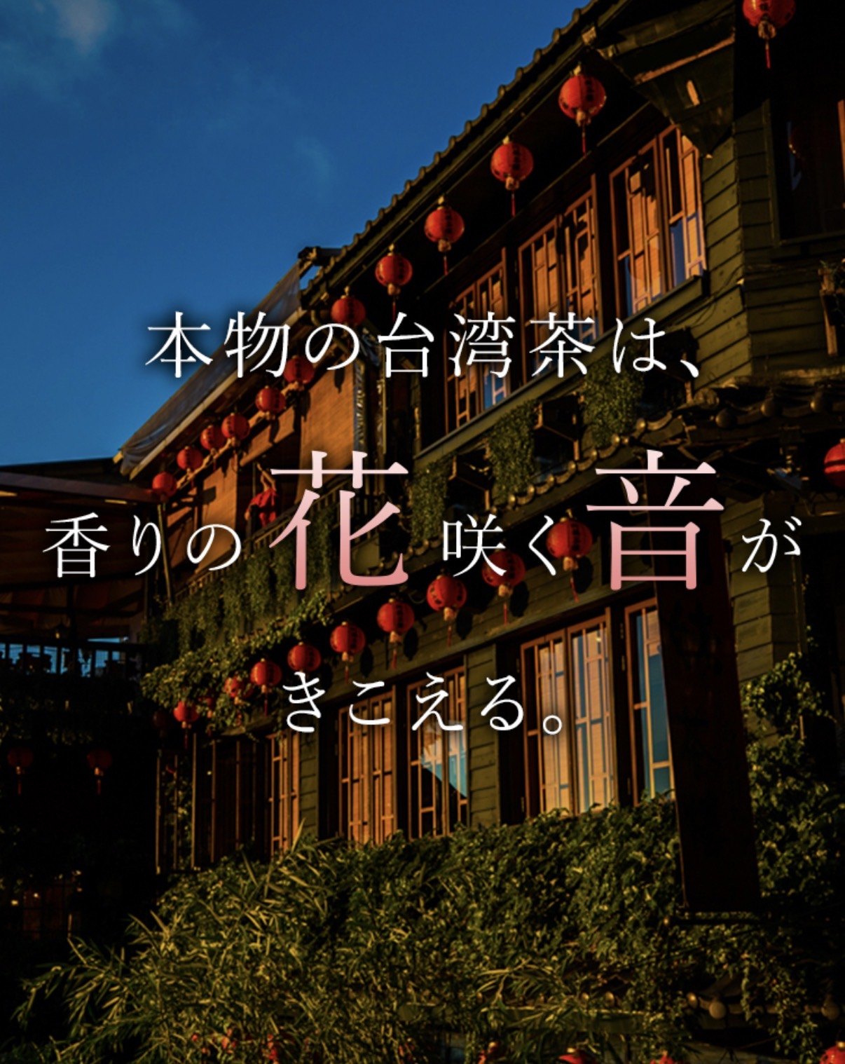 夕暮れの台湾の茶楼。「本物の台湾茶は、香りの花咲く音がきこえる。」